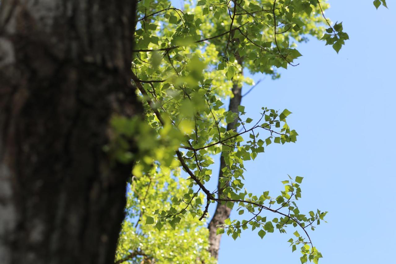 Agri Resort Masusa Aquara Zewnętrze zdjęcie